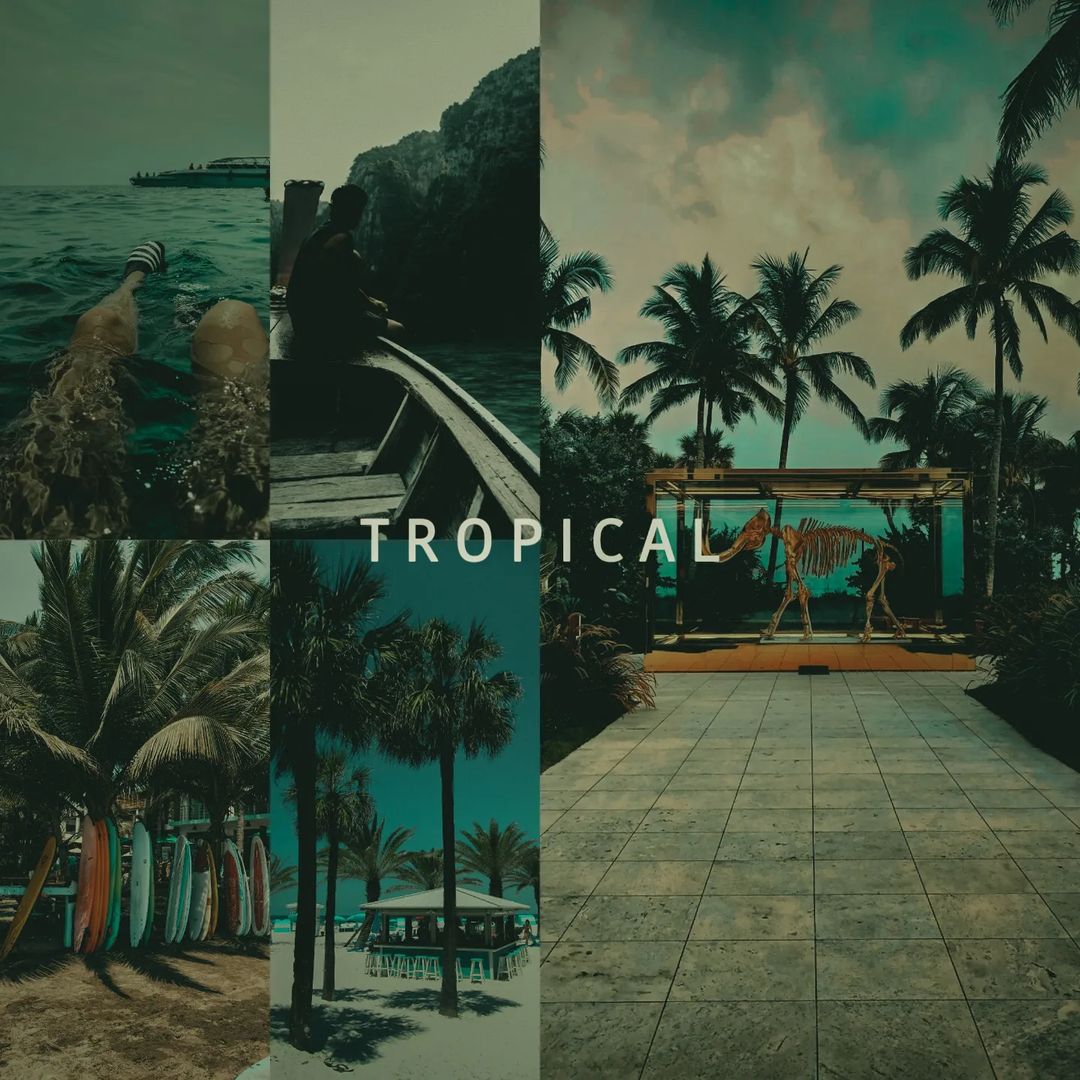 Tropical preset — after