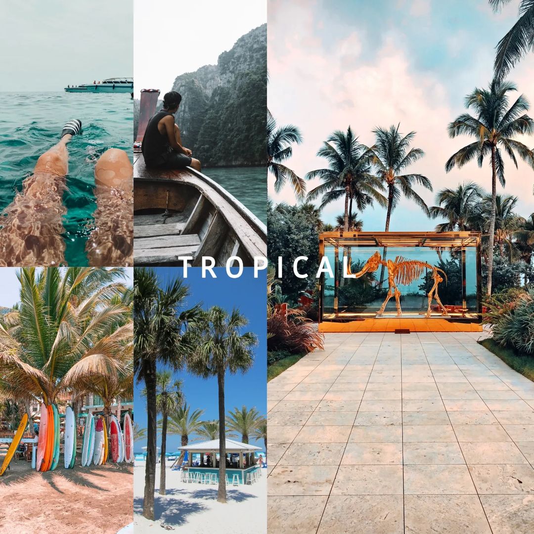 Tropical preset — before